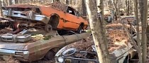 Abandoned Forest Junkyard Looks Like a Classic Car Ghost Town