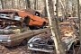 Abandoned Forest Junkyard Looks Like a Classic Car Ghost Town