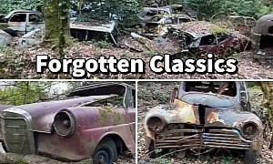 Abandoned Forest Junkyard Packed With Rare Cars Is Heartbreaking Yet Fascinating