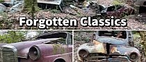 Abandoned Forest Junkyard Packed With Rare Cars Is Heartbreaking Yet Fascinating