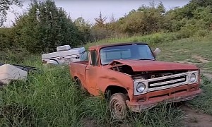 Abandoned Forest Property Hides Massive Hoard of Vintage Cars, Trucks, and Tractors