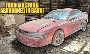 Abandoned in a Barn, Ford Mustang Gets Its First Wash in 8 Years – Result Is Staggering