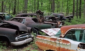 Abandoned Junkyard Hidden in the Woods Is Home to Hundreds of Classic Cars