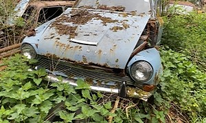 Abandoned Junkyard Taken Over by Nature Is Packed With Rare Gems