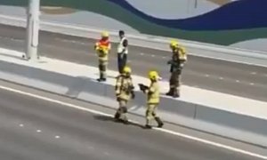 Abu Dhabi Civil Defence Shuts Down Highway To Save Kitten, Video Goes Viral
