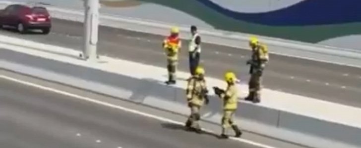 Civil Defence specialists save cat on highway in Abu Dhabi