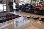 Adorable Ducklings Take Over Nissan Dealership in Florida