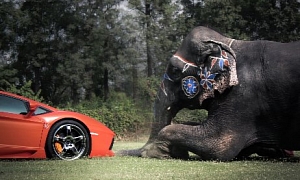 ADV.1 Wheels Cocktail: Lamborghini Aventador and Elephant