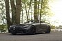 All-Black Mercedes-AMG GT R on Vossen EVO-2Rs Looks Stealthy Enjoying Nature