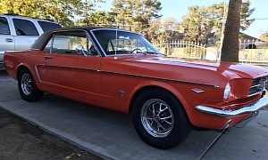 All-Original 1964 1/2 Mustang Flexes Rare Engine Option, Quite a Time Capsule