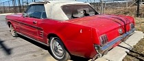 All-Original 1966 Ford Mustang Convertible Needs Heavy Restoration
