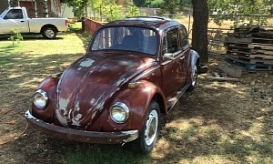 All-Original 1968 Volkswagen Beetle Found in a Barn After Years of Hiding