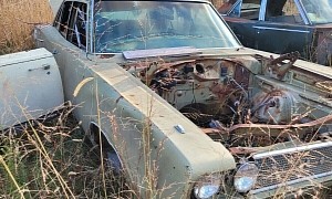 Forgotten Junkyard Gems: 1969 Dodge Super Bees Found Alongside Two Coronets