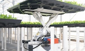 Amazon Starts Selling Lettuce Grown With the Help of Robot Farmers