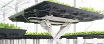 Amazon Starts Selling Lettuce Grown With the Help of Robot Farmers