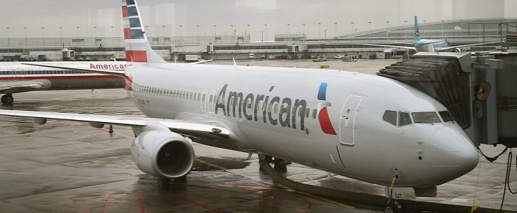 American Airlines flight attendant attacked by emotional support dog, needs stitches