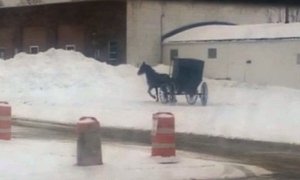 Amish Buggy Doing Donuts in Ohio Looks Funny