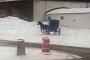 Amish Buggy Doing Donuts in Ohio Looks Funny