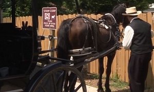 Amish Man Starts Uber Service With His Buggy and Horse