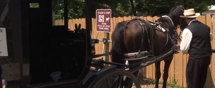 Amish Uber is a ride-sharing service with horse and buggy - only in Colon, Michigan