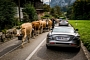 An SLR McLaren Convoy is a Sight to Remember in the Alps