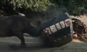 Angry Rhino Attacks Keeper’s Car With Her Inside at German Safari Park