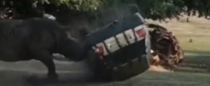 Viral video shows brutal rhino attack on car, with the driver still inside
