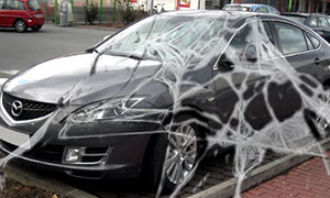 Arachnophobic Mazda6 Drivers Asked to Donate Cars to PETA