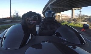 Ariel Atom Drive with Your Rottweiler as a Passenger, the Perfect Lunch Break