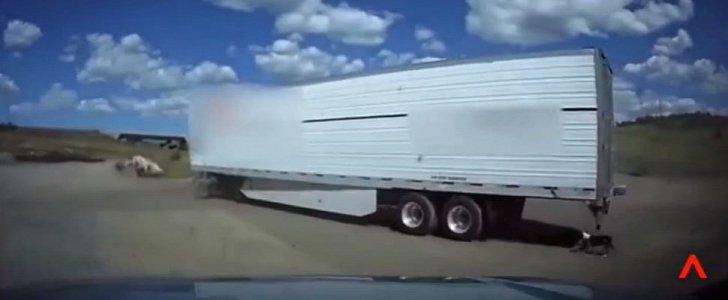 Trailer truck pulls out of gas station in Arizona, with dog tied to the bumper