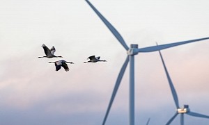 Army’s Wind Turbine Ban Is Slowing Down Finland’s Transition to Clean Energy