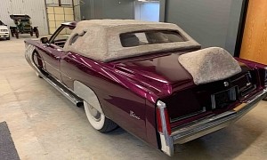 Austin Power’s 1976 Cadillac Eldorado Looking for a New Owner, Pink Fur Galore