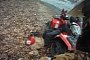 Australian Authorities Ask for a Safety Star Rating for ATVs