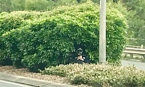 Australian Cop Caught Hiding in The Bushes to Catch Speedsters