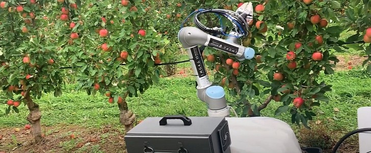 Harvesting Robot