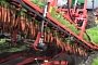 Automated Carrot Harvester Machines Are Mesmerizing to Watch in Action