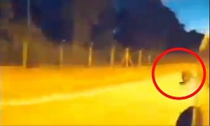 Autopilot Swerves Aggressively to Avoid High-Speed Collision with Hog at Night