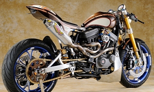 Avanzare, a Harley-Davidson Sportster the Asterisk Way