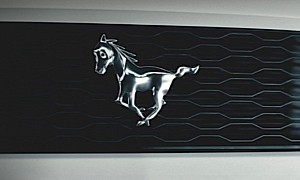 Baby Ford Mustang Logo Looks Too Surprised to Be Taken Seriously