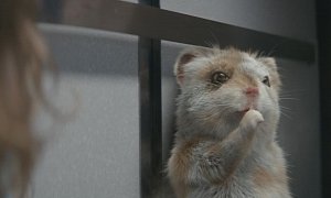 Baby Hamster Escapes from Hospital in Kia Soul Turbo Commercial
