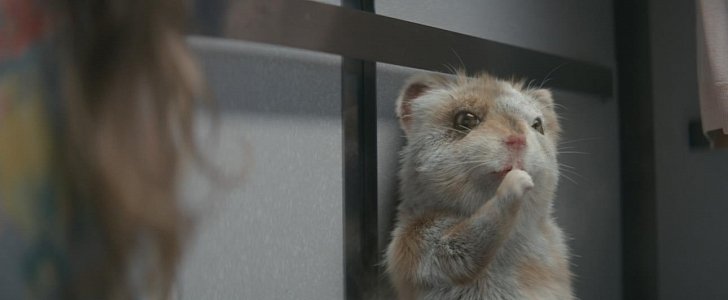 Baby Hamster Escapes from Hospital in Kia Soul Turbo Commercial