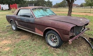 Back After 40 Years: 1966 Ford Mustang Is a Daily Driver Turned Original Survivor