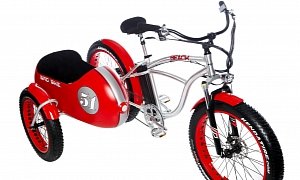 Bad Bike Beach Vintage Fat the Electric Sidecar Bicycle Looks So Sweet