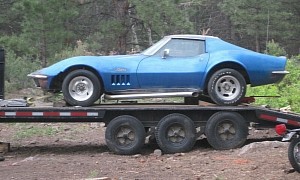 Bad Dog: 1969 Chevrolet Corvette Gets Chewed Up While in Storage, Also Parked in the Sun