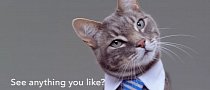 Bad Yet Hillarious Cat Commercials Released by VW, Honda and Buick