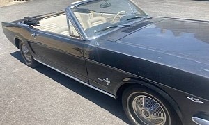 Barn-Find 1965 Ford Mustang Has the Full Package: One Owner, All Original, Perfect 10