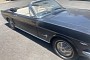 Barn-Find 1965 Ford Mustang Has the Full Package: One Owner, All Original, Perfect 10