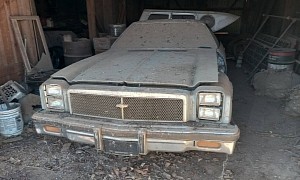 Barn-Found El Camino Sees Daylight After Decades in Storage, Starts Right Up