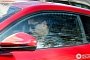 Bayern Munchen’s Striker Robert Lewandowski Seen Driving a Ferrari F12berlinetta