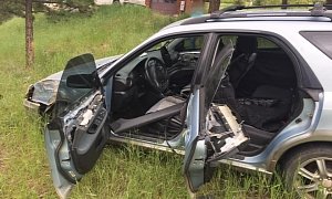 Bear Butt-Shifts Car Into Neutral, Crashes, Flees